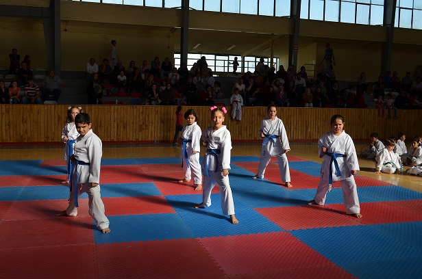 Ilgın’da karateciler kemer sınavında ter döktü