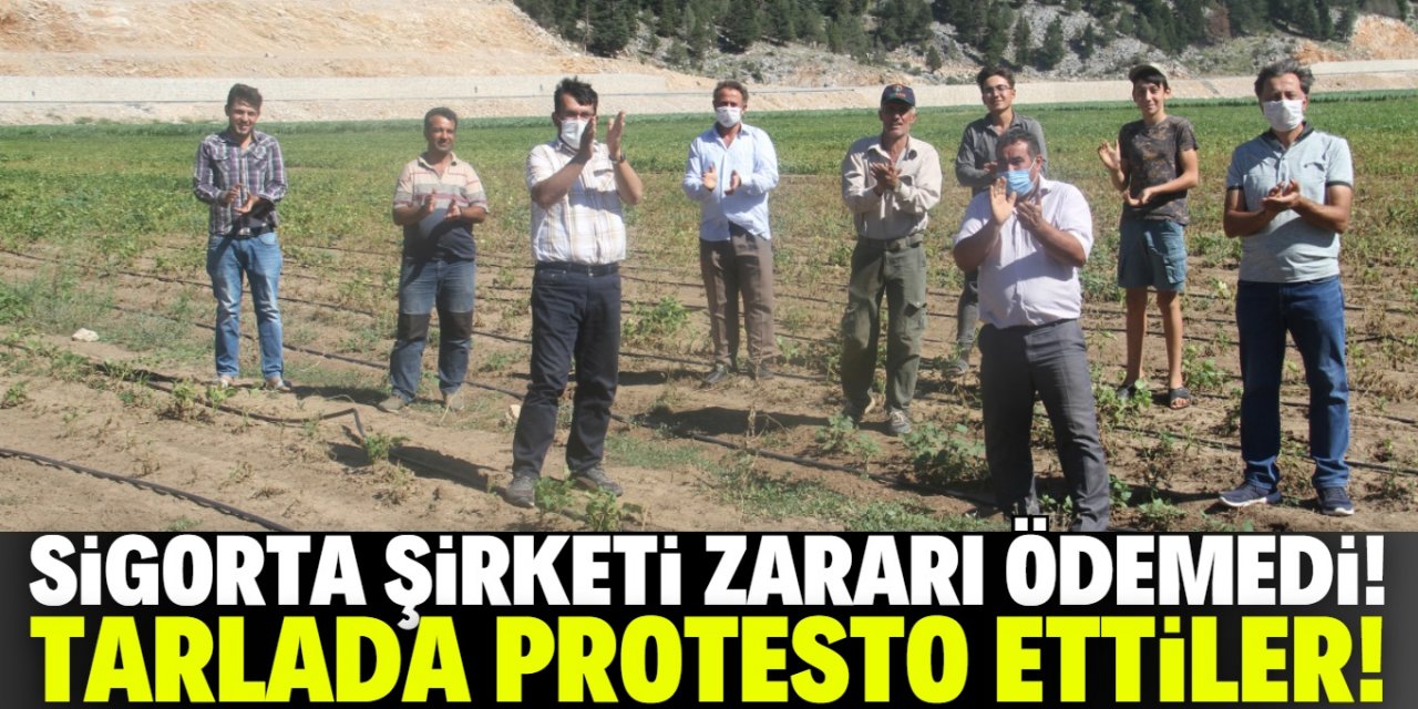 Konya’da çiftçiler sigorta şirketini tarlada protesto etti